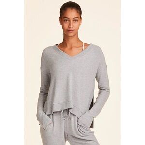 Alala Wander Sweatshirt Sweater in Glacier Size  XS